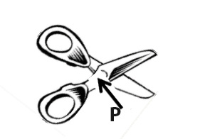 7.Use an arrow with letter P to show the fulcrum on the diagram.