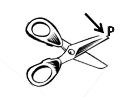 7.Use an arrow with letter P to show the fulcrum on the diagram.