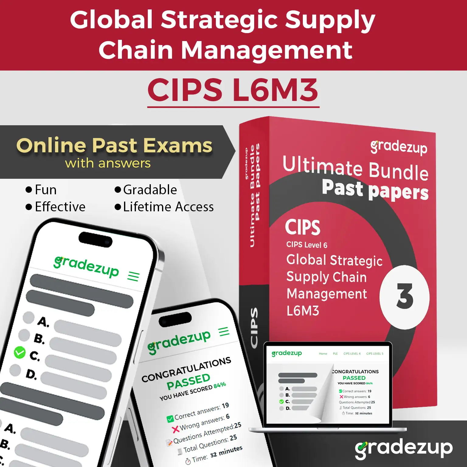 L6M3 – Global Strategic Supply Chain Management