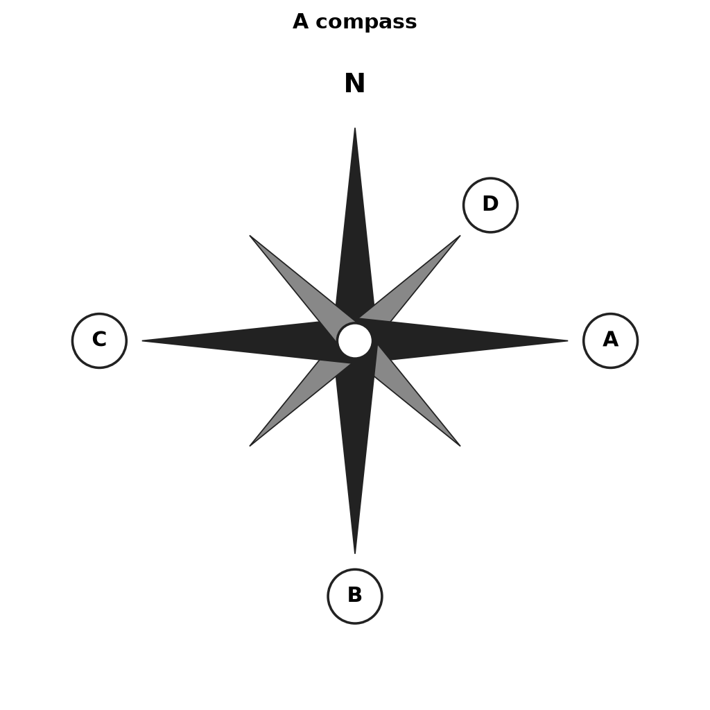 43. Study the compass below and answer the questions.